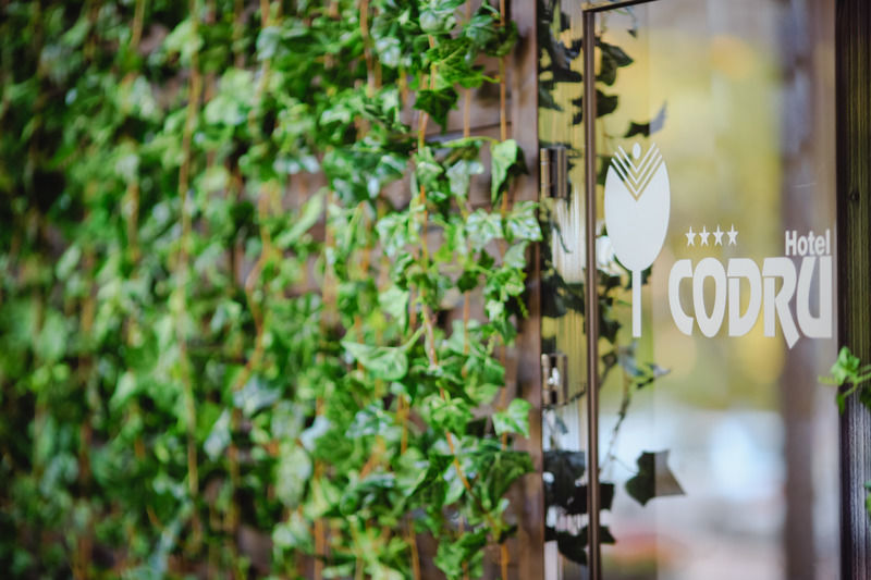 Codru Hotel Kiszyniów Zewnętrze zdjęcie